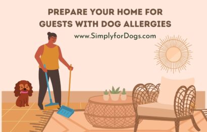 13 Ways to Prepare Your Home for Guests with Dog Allergies