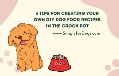 5 Tips for Creating Your Own DIY Dog Food Recipes in the Crock Pot