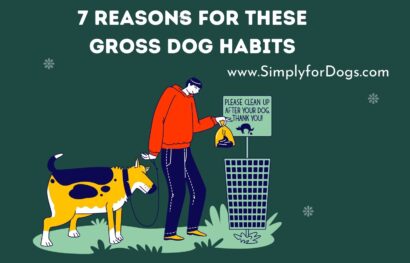 7 Reasons for These Gross Dog Habits
