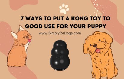 7 Ways to Put a Kong Toy to Good Use for Your Puppy