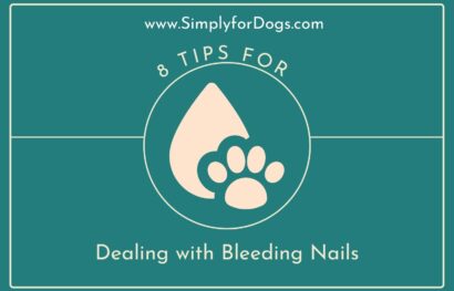 8 Tips for Dealing with Bleeding Nails