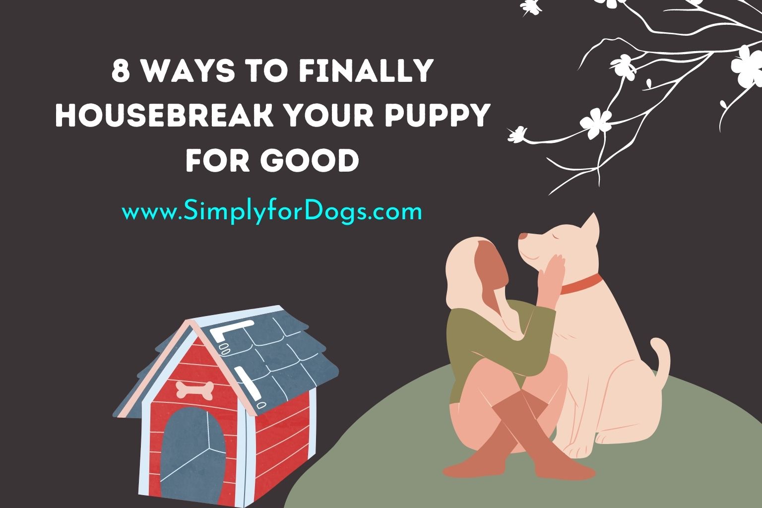 8 Ways to Finally Housebreak Your Puppy For Good