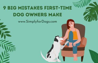 9 Big Mistakes First-Time Dog Owners Make