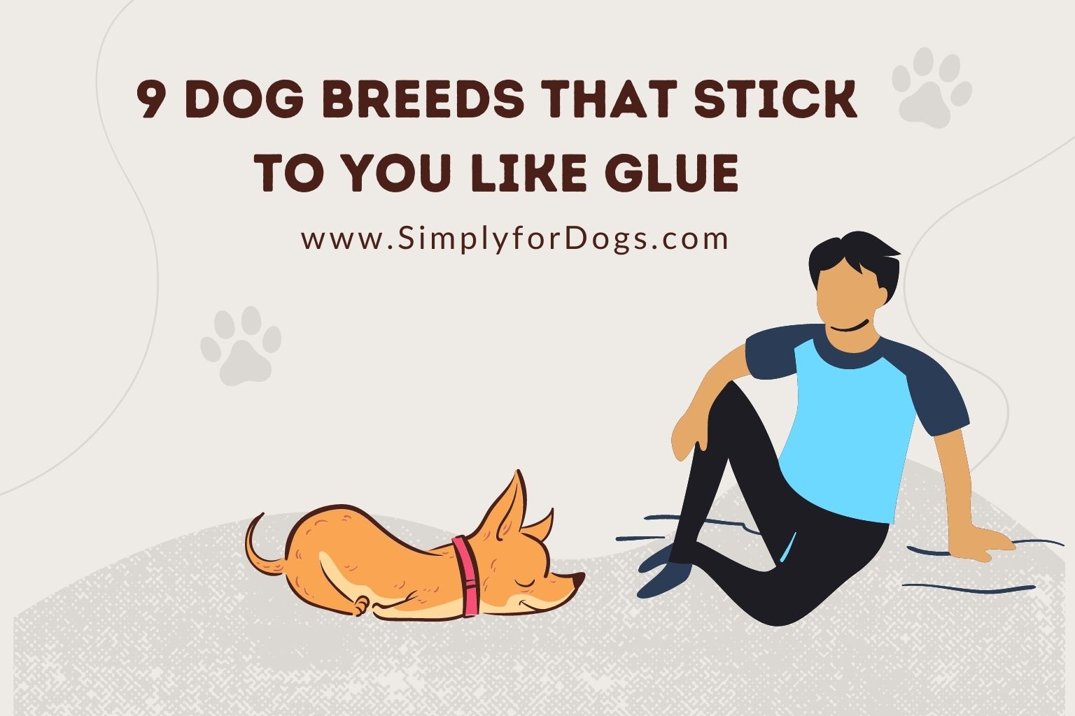 9 Dog Breeds That Stick to You Like Glue
