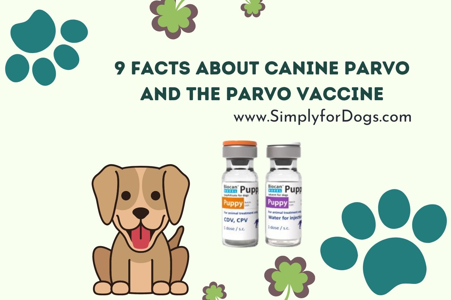 9 Facts About Canine Parvo and the Parvo Vaccine