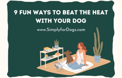 9 Fun Ways to Beat the Heat with Your Dog