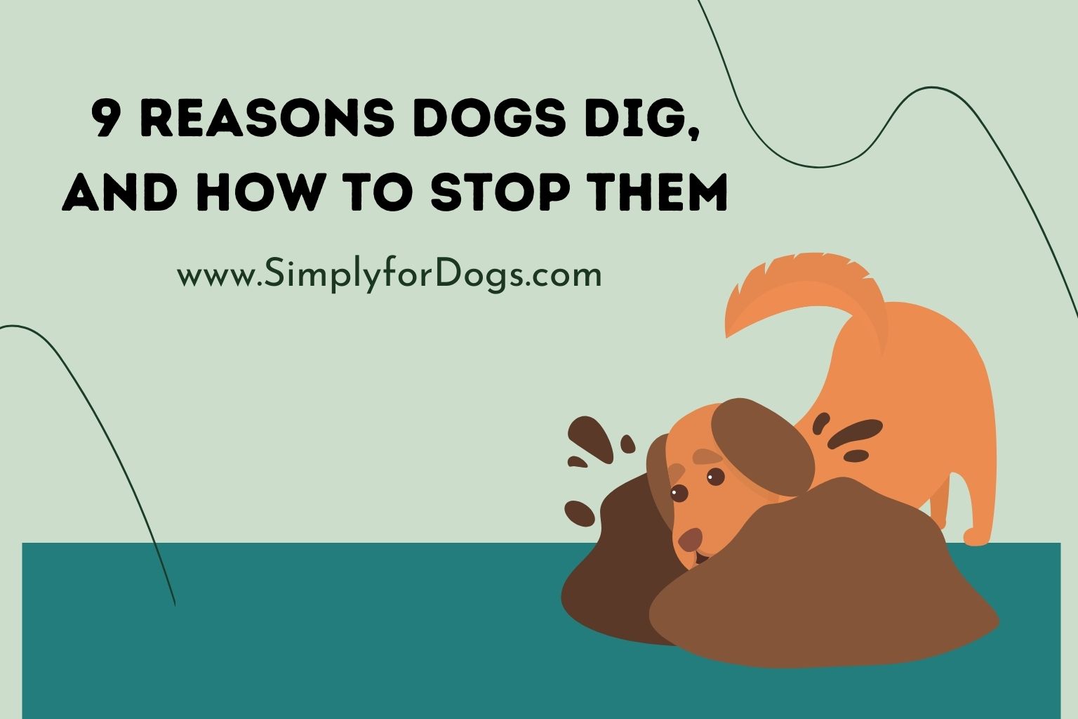 9 Reasons Dogs Dig, and How to Stop Them