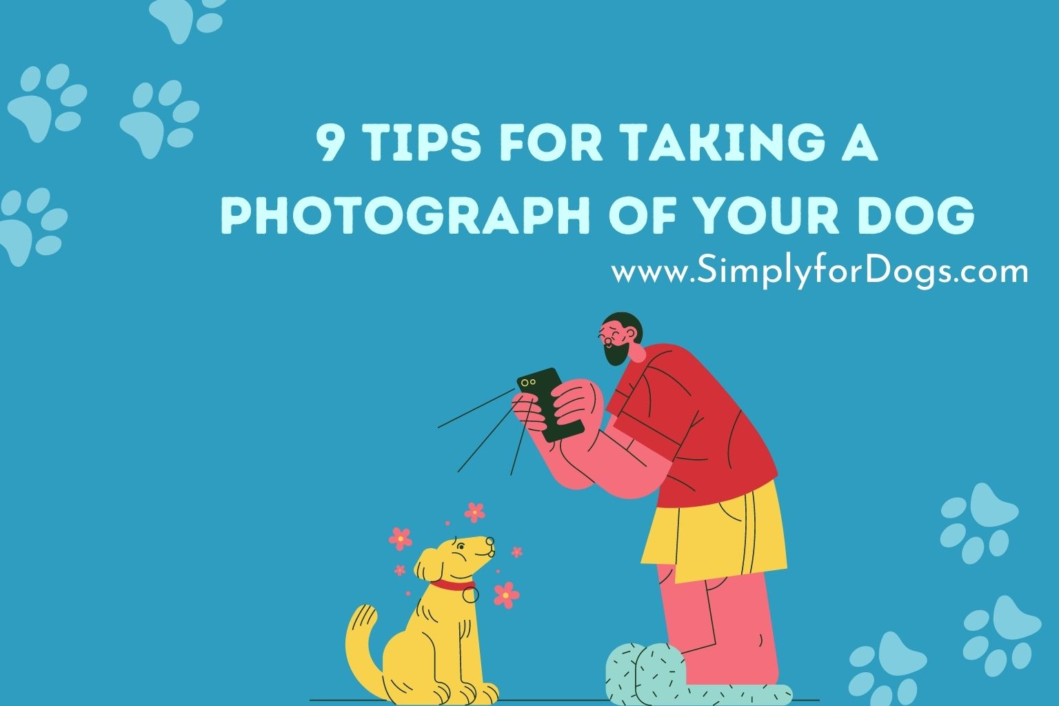 9 Tips for Taking a Photograph of Your Dog