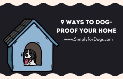 9 Ways to Dog-Proof Your Home