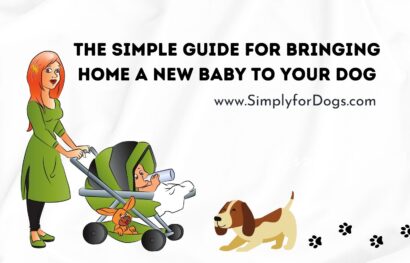 The Simple Guide for Bringing Home a New Baby to Your Dog