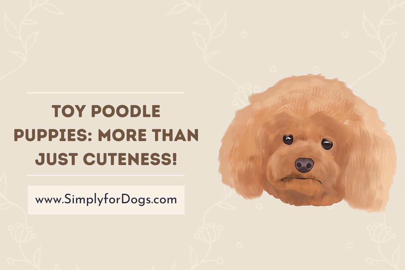Toy Poodle Puppies_ More Than Just Cuteness!