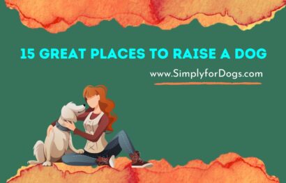 15 Great Places to Raise a Dog