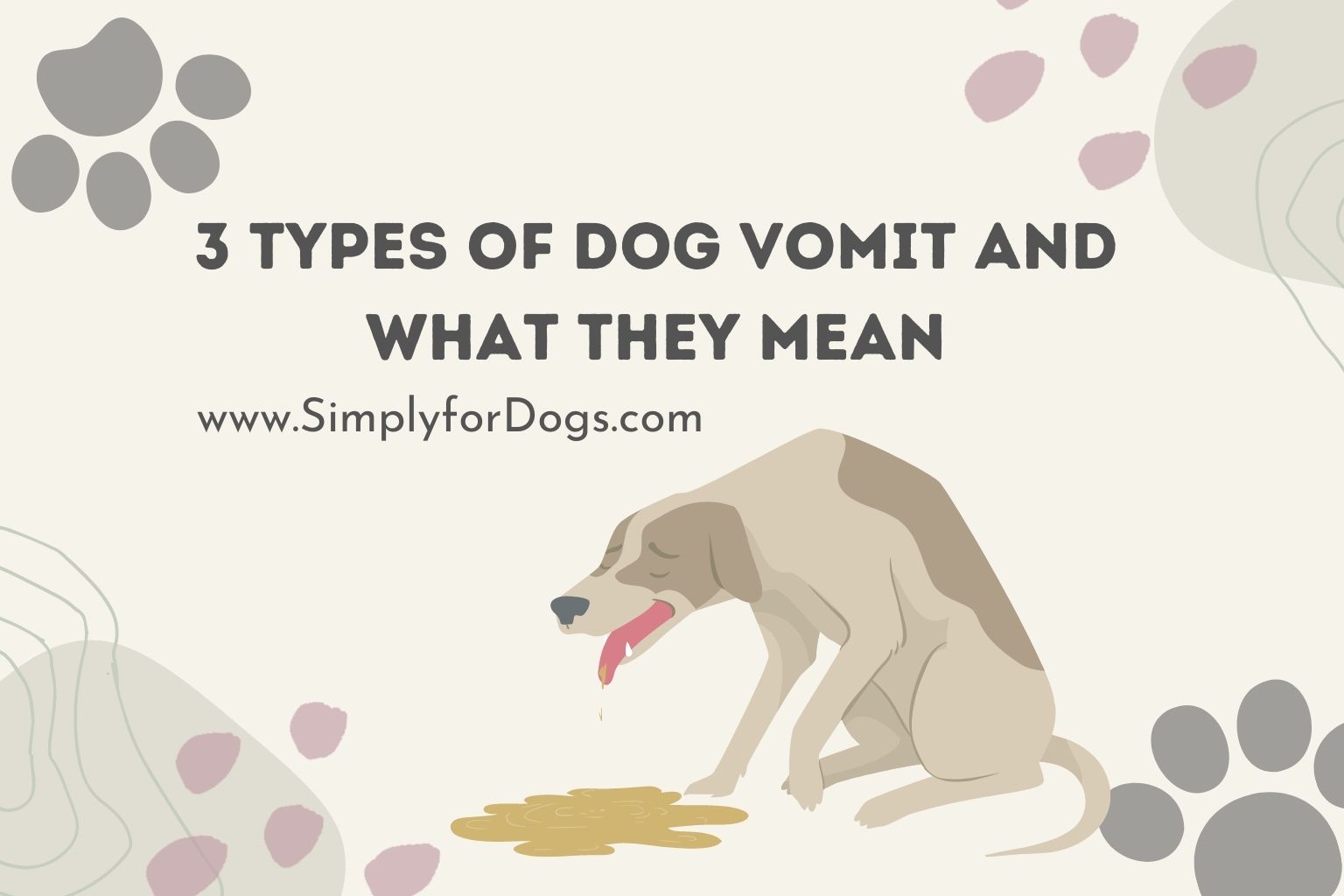 3 Types of Dog Vomit and What They Mean