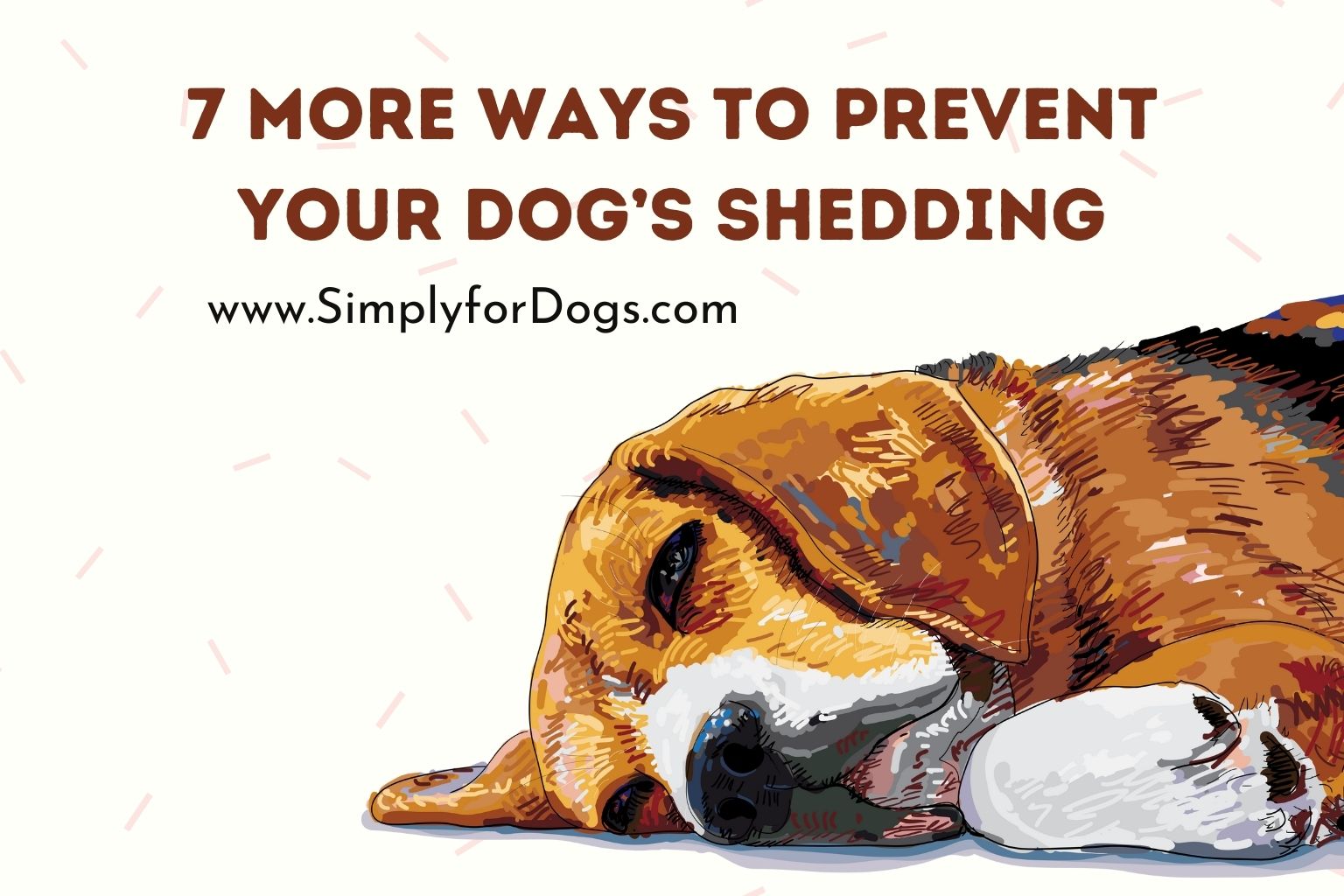 7 More Ways to Prevent Your Dog’s Shedding