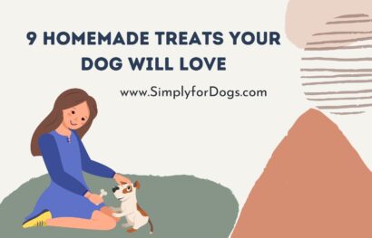 9 Homemade Treats Your Dog Will Love