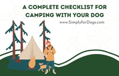 A Complete Checklist for Camping with Your Dog