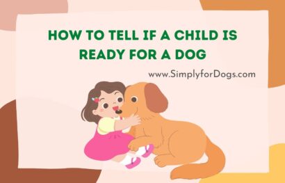 How To Tell if a Child is Ready for a Dog