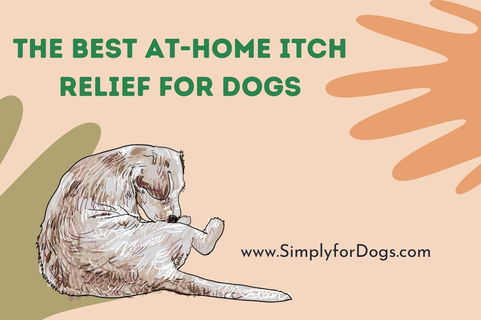 The Best At-Home Itch Relief for Dogs