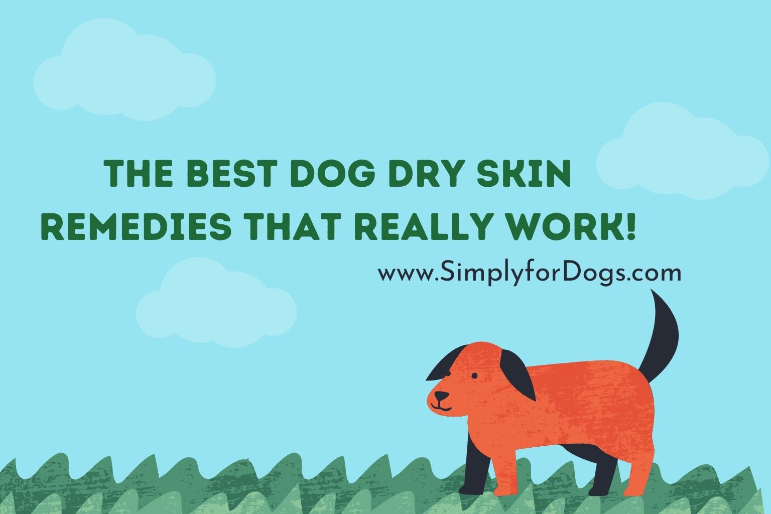 The Best Dog Dry Skin Remedies That Really Work!