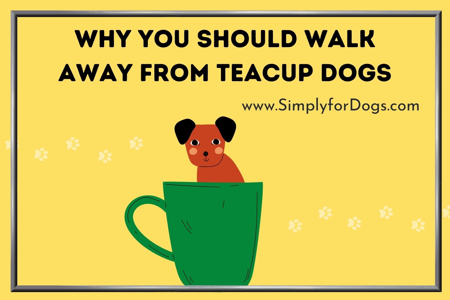 Why You Should Walk Away From Teacup Dogs