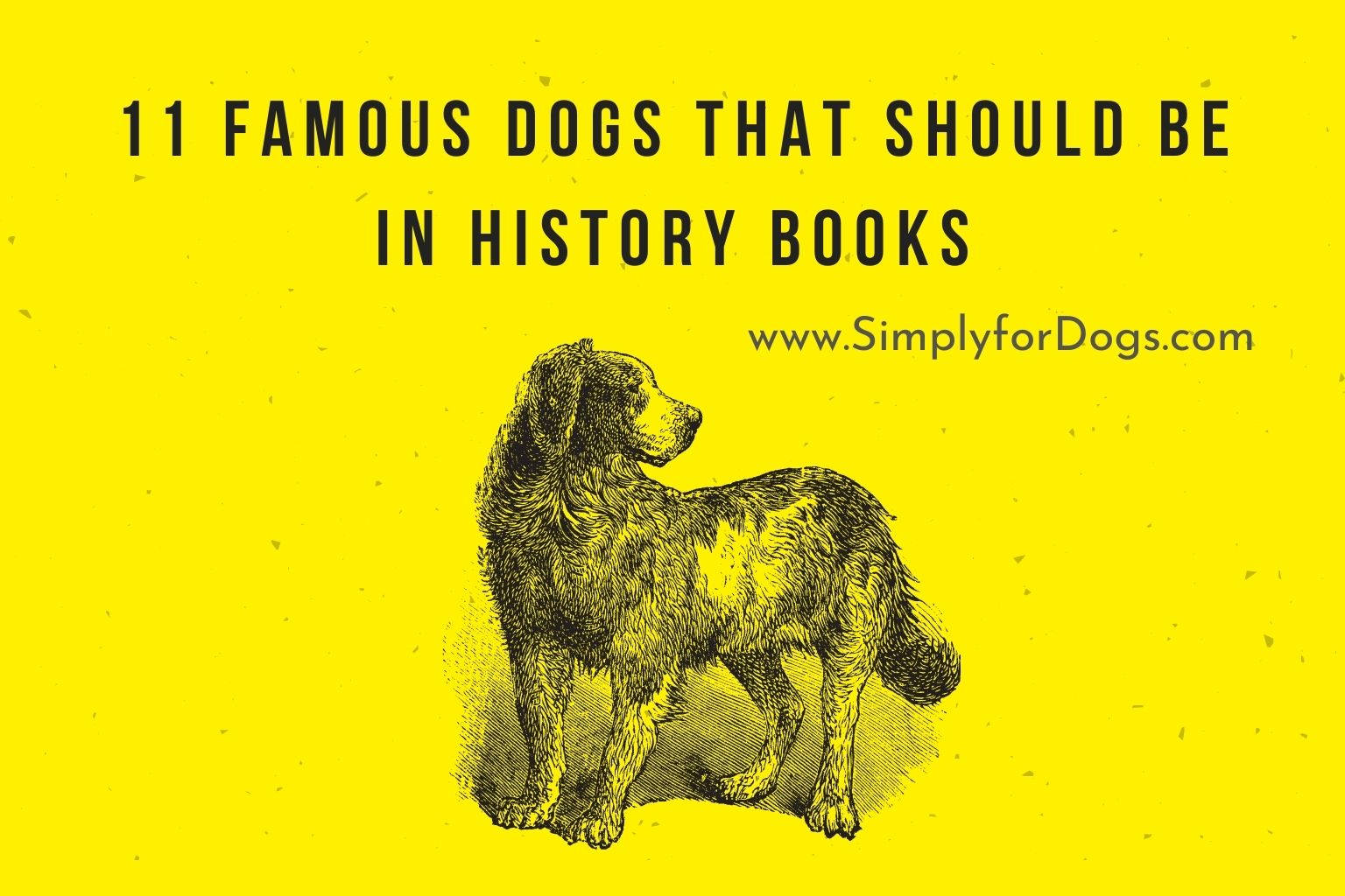 11 Famous Dogs That Should Be in History Books