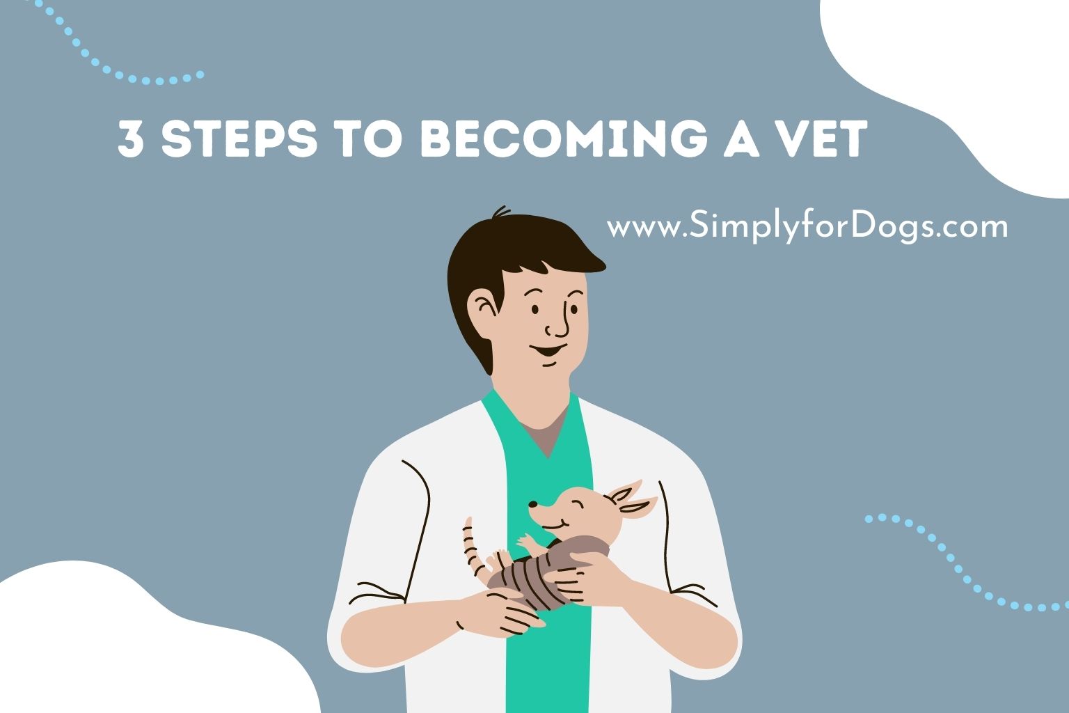 3 Steps to Becoming a Vet