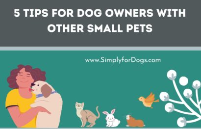 5 Tips for Dog Owners with Other Small Pets