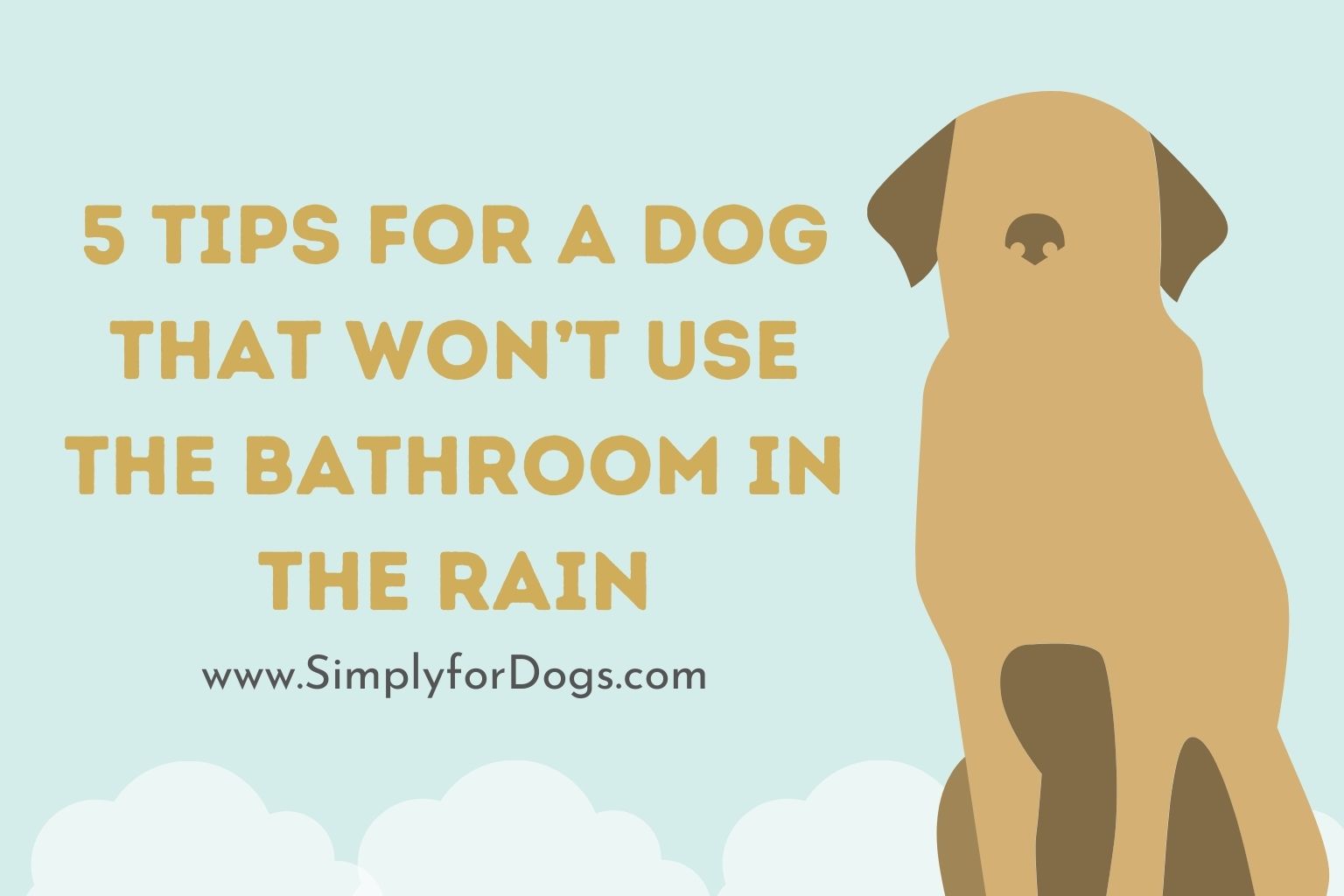 5 Tips for a Dog That Won’t Use the Bathroom in the Rain