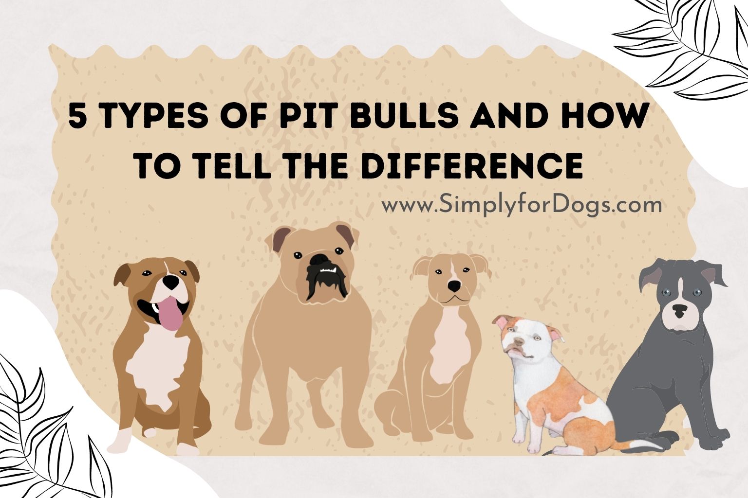 5 Types of Pit Bulls and How to Tell the Difference