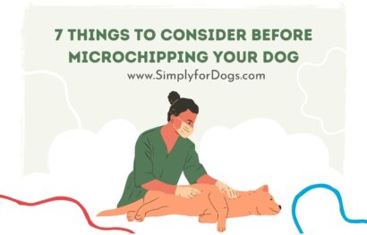 7 Things to Consider Before Microchipping Your Dog