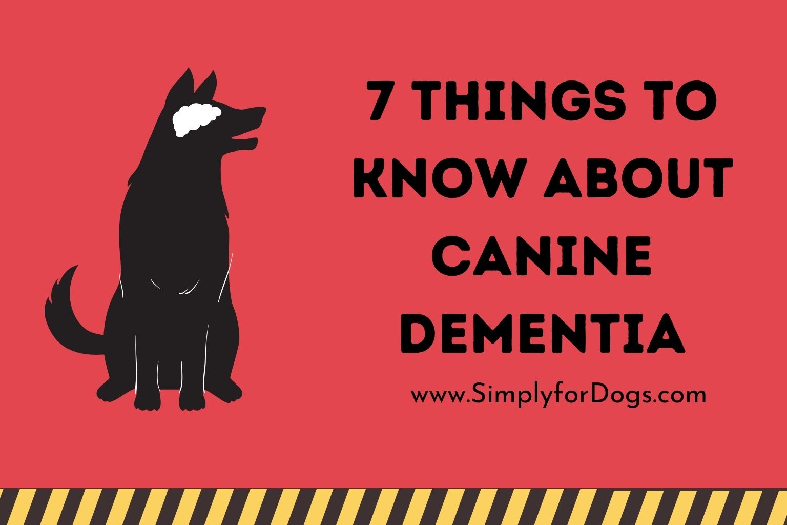 7 Things to Know About Canine Dementia