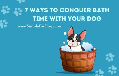 7 Ways to Conquer Bath Time with Your Dog