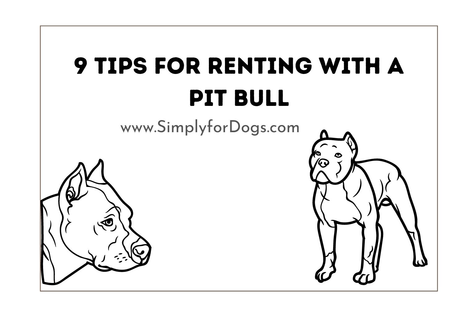 9 Tips for Renting with a Pit Bull