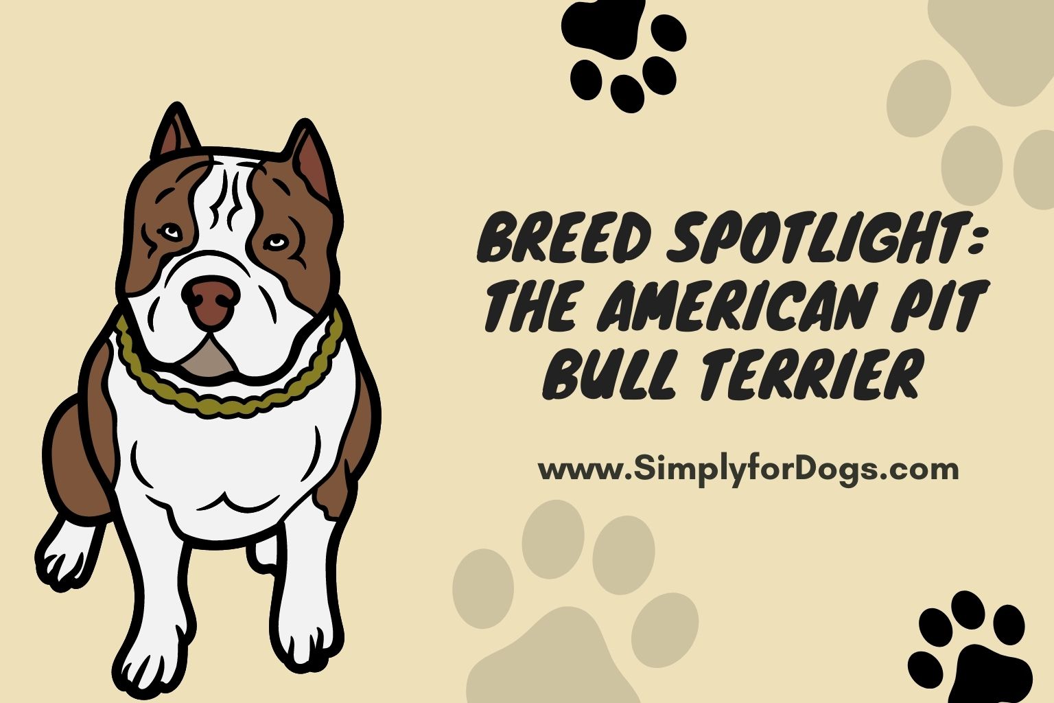 Breed Spotlight_ The American Pit Bull Terrier