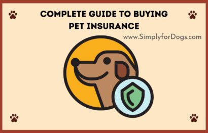 Complete Guide to Buying Pet Insurance