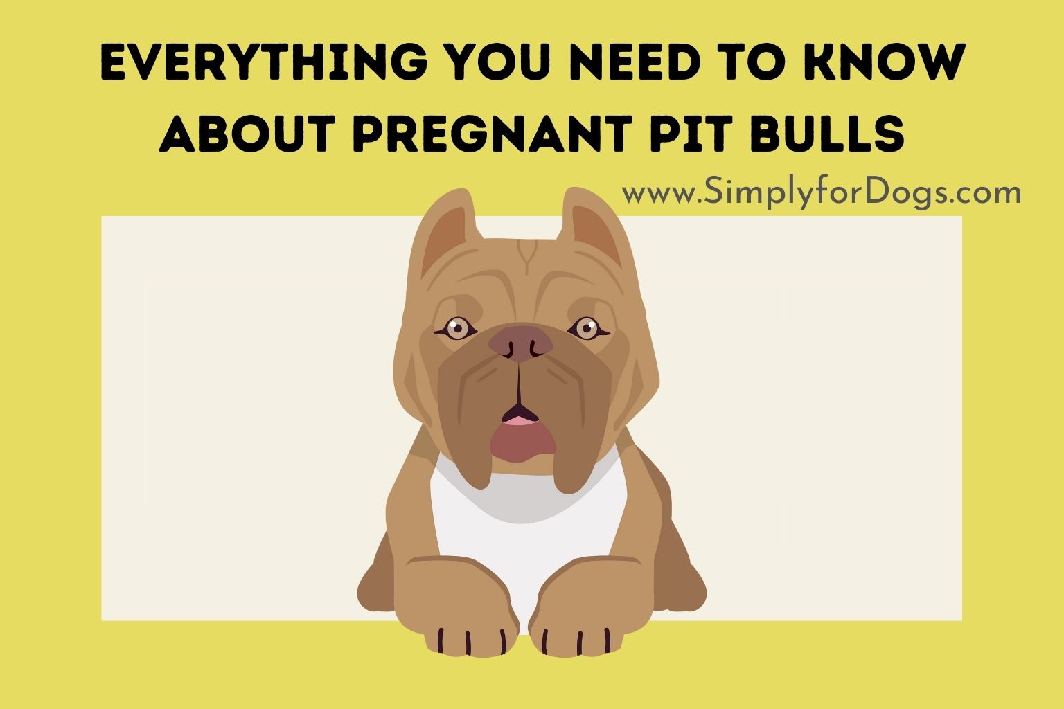 Everything You Need to Know About Pregnant Pit Bulls