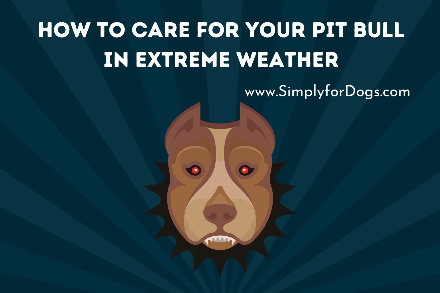 How to Care for Your Pit Bull in Extreme Weather