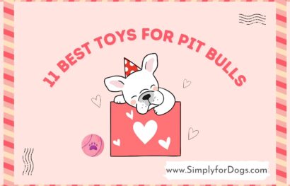 11 Best Toys for Pit Bulls