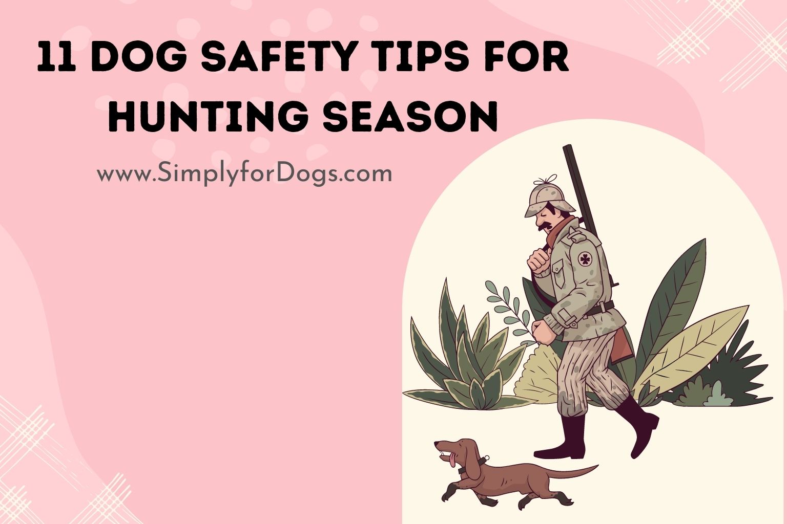 11 Dog Safety Tips for Hunting Season