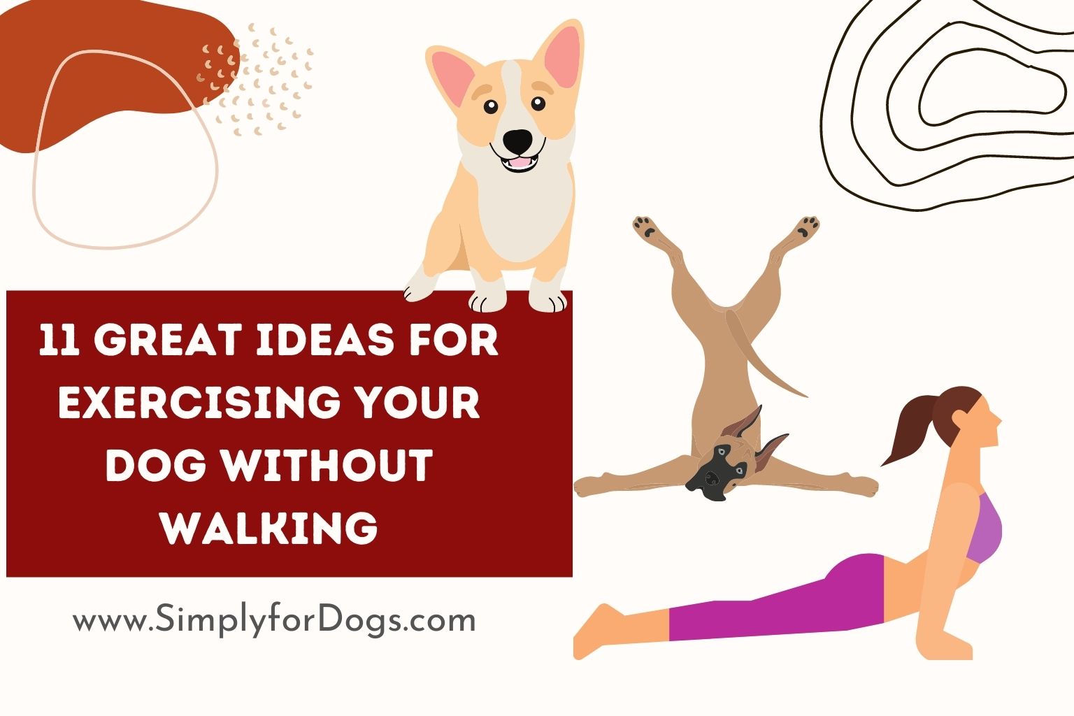 11 Great Ideas for Exercising Your Dog Without Walking