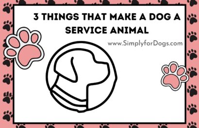 3 Things That Make a Dog a Service Animal