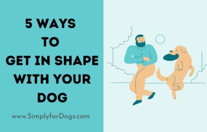 5 Ways to Get in Shape with Your Dog