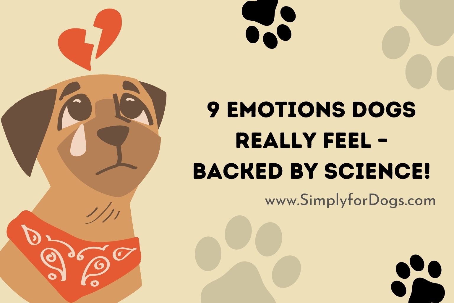9 Emotions Dogs Really Feel – Backed By Science!