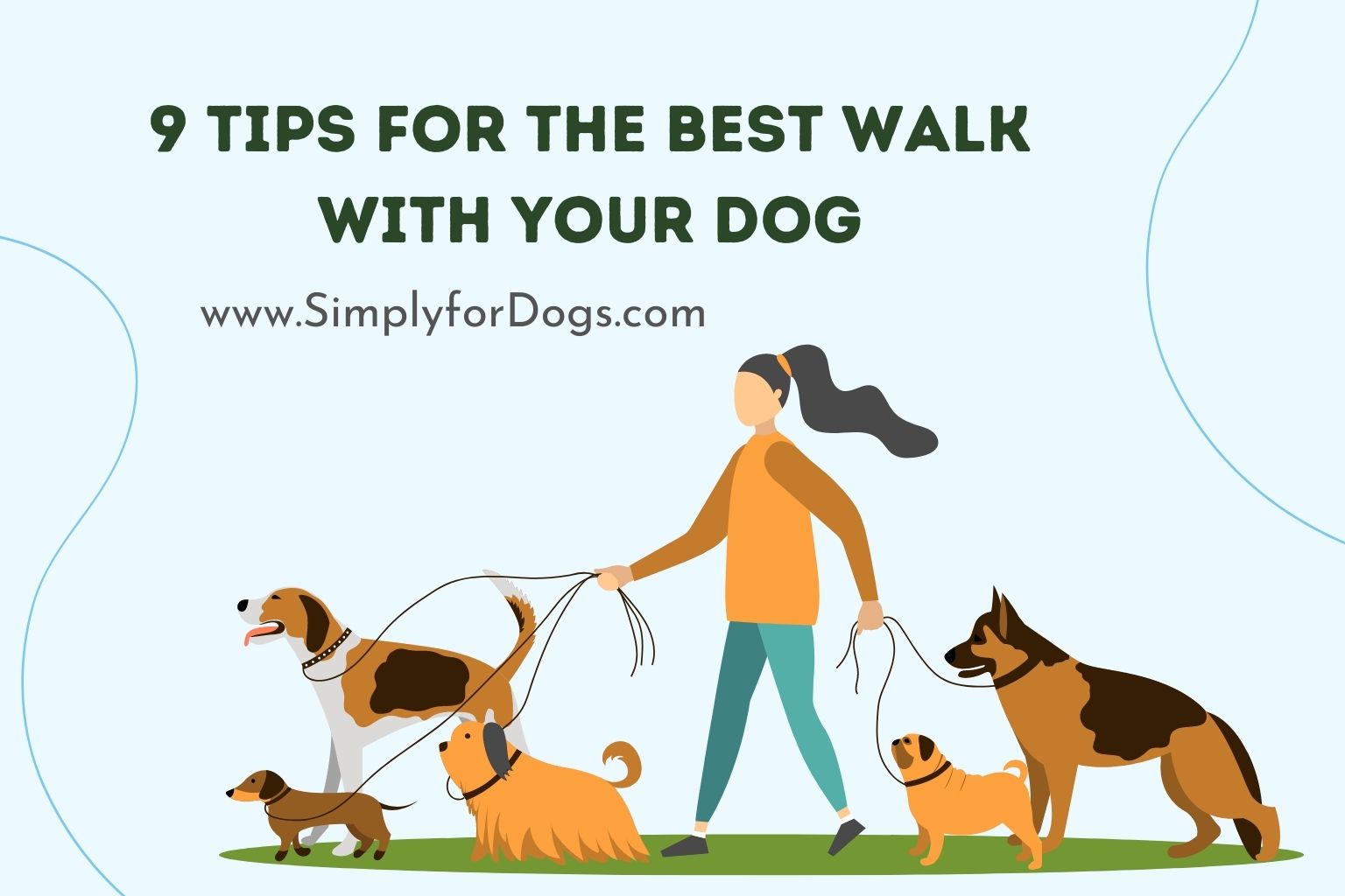 9 Tips for the Best Walk With Your Dog
