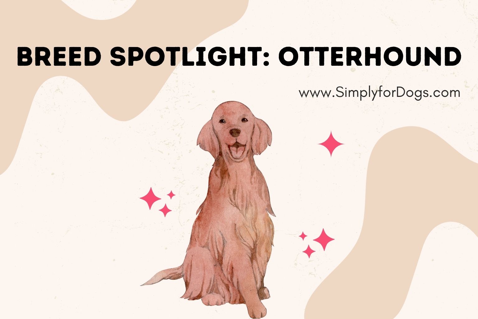Breed Spotlight_ Otterhound