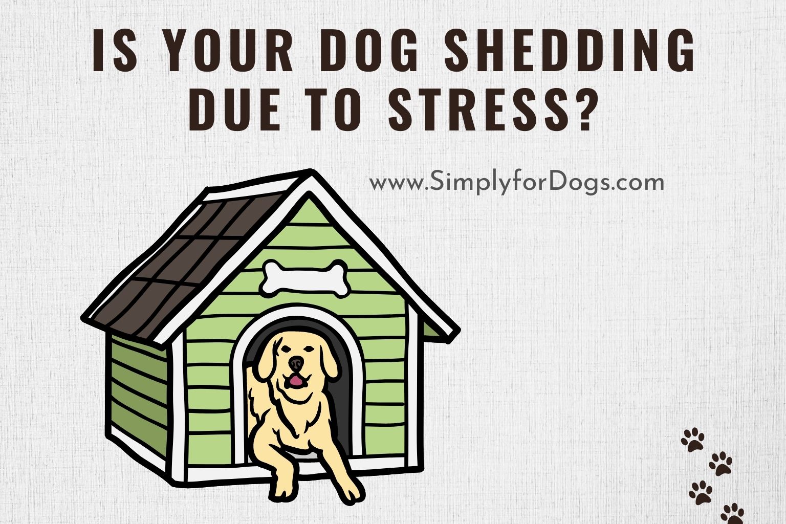Is Your Dog Shedding Due to Stress_