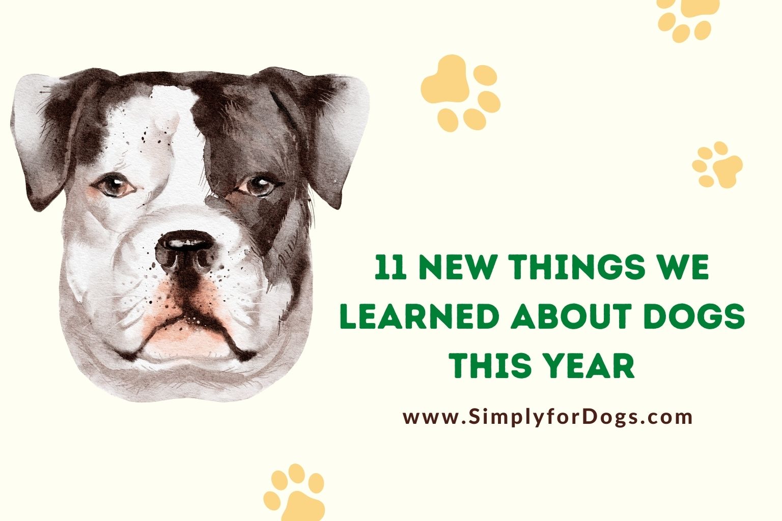 11 New Things We Learned About Dogs This Year