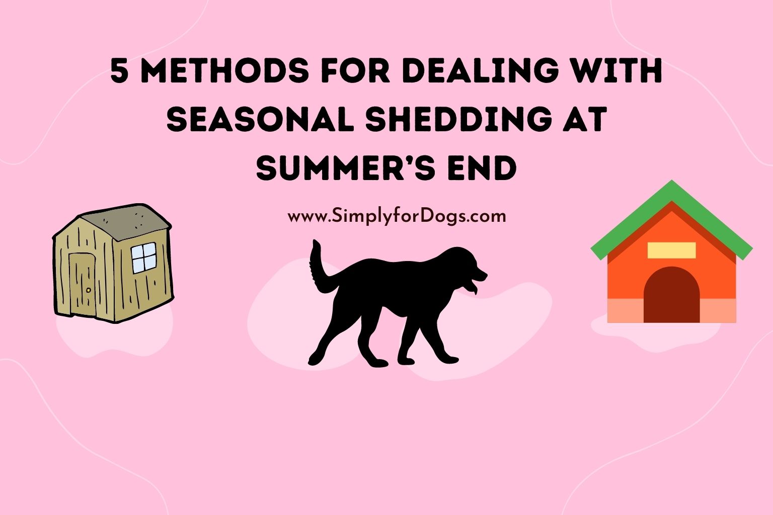 5 Methods for Dealing with Seasonal Shedding at Summer’s End