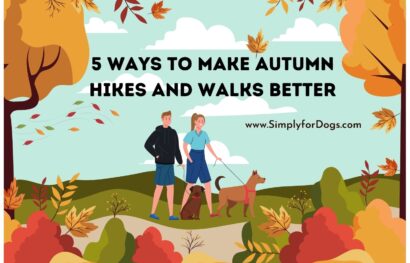 5 Ways to Make Autumn Hikes and Walks Better