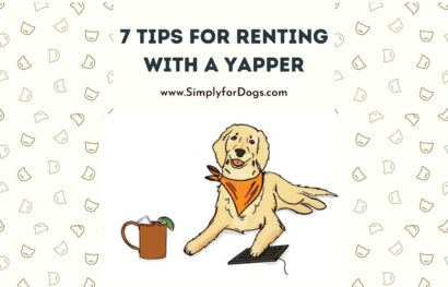 7 Tips for Renting with a Yapper